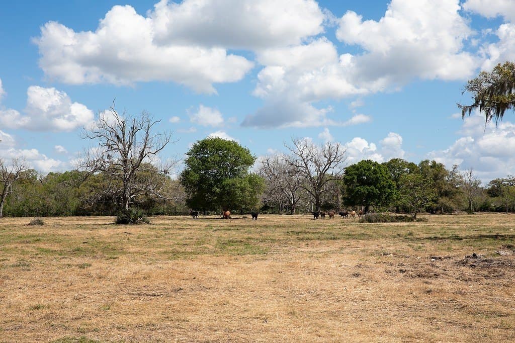 14.5 acres in Brazoria County featured view