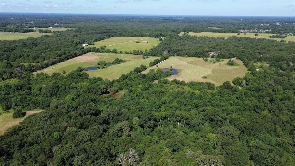 20.23 acres in Rains County gallery image 2