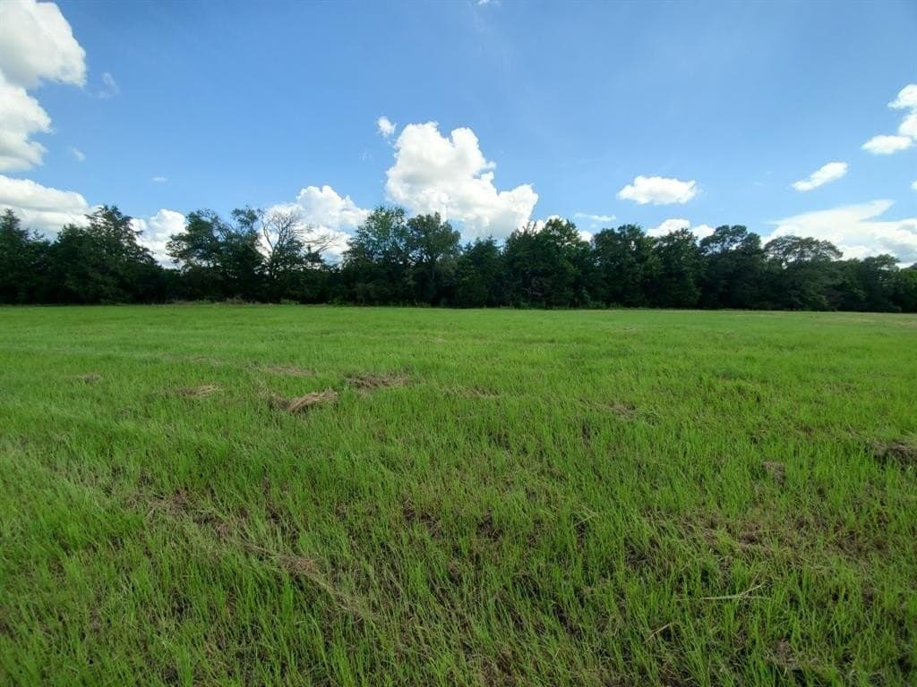 20.23 acres in Rains County featured view