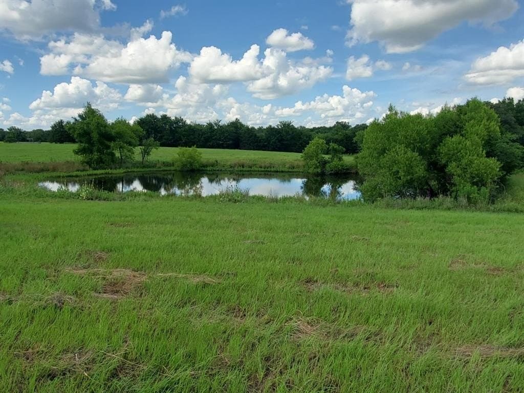 20.23 acres in Rains County gallery image 4