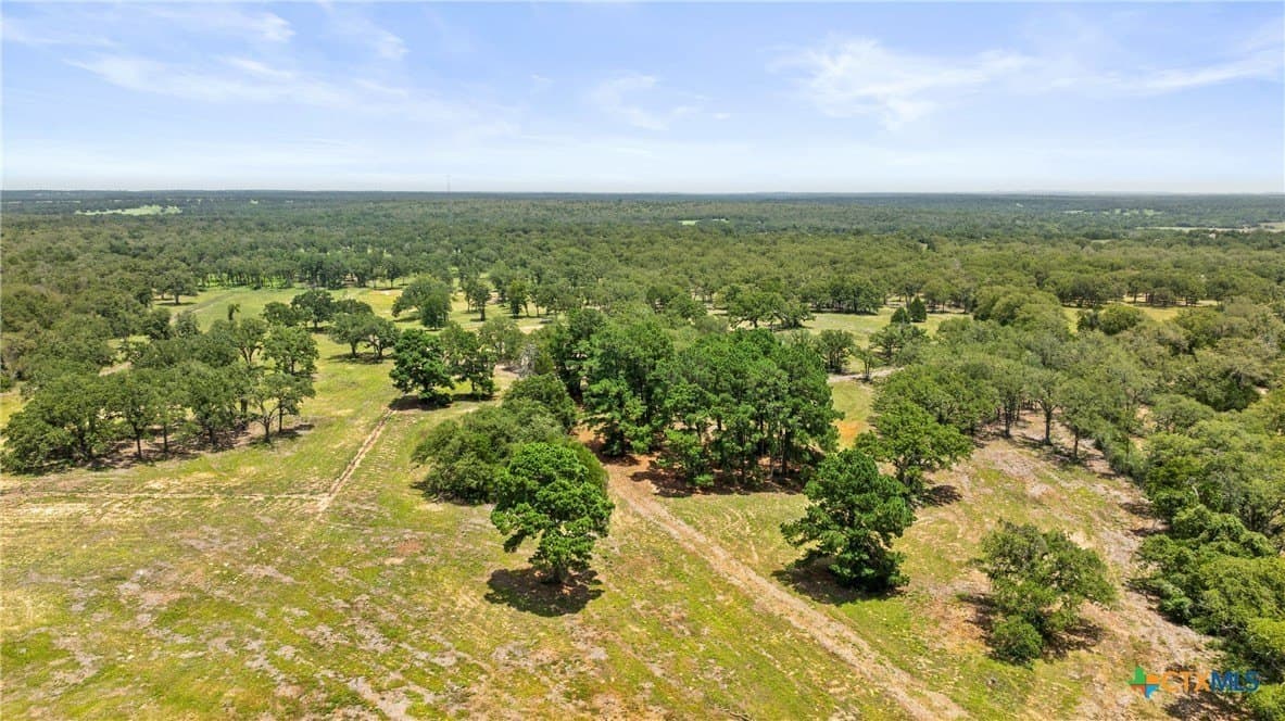 144.15 acres in Bastrop County gallery image 4
