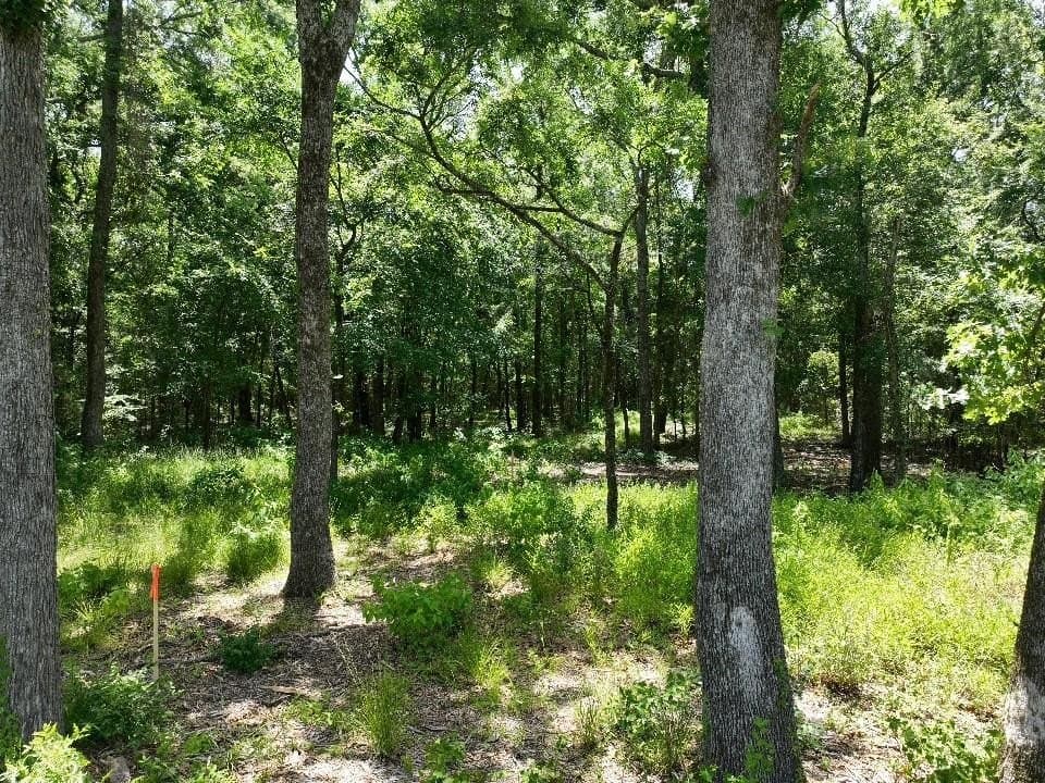 11.15 acres in Van Zandt County - photo 7