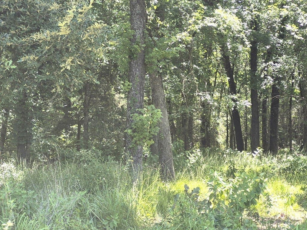 11.15 acres in Van Zandt County featured view