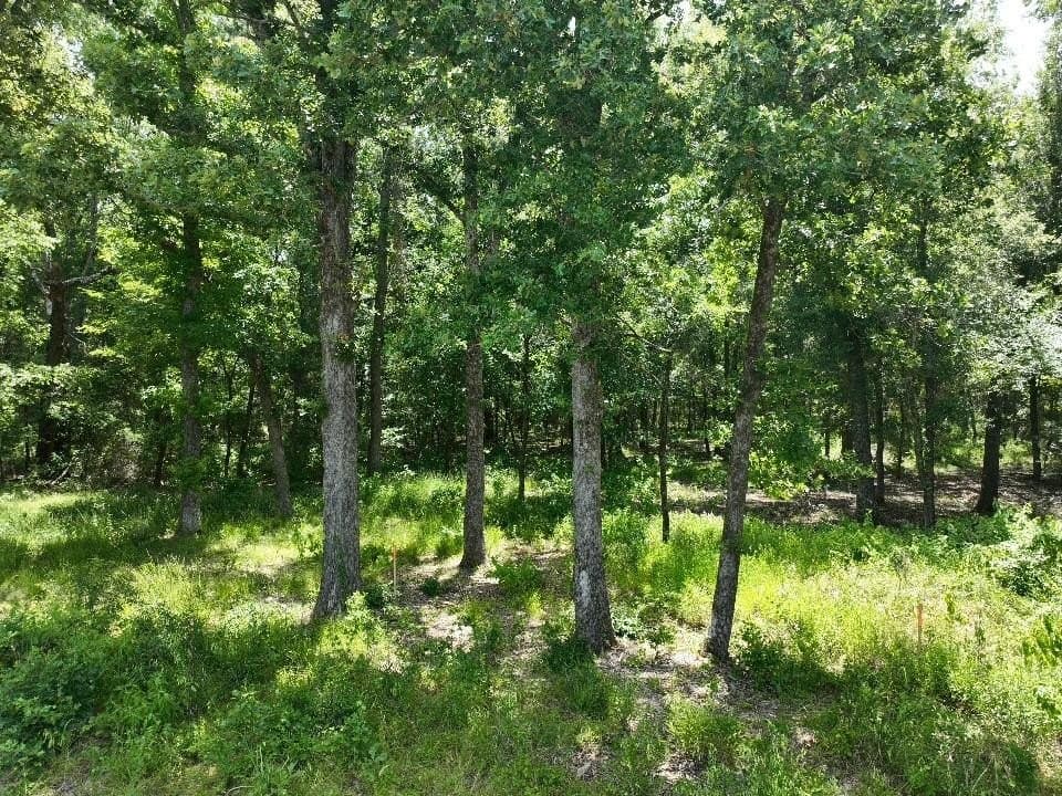 11.15 acres in Van Zandt County - photo 3