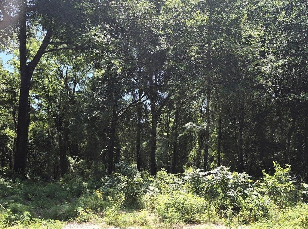 11.15 acres in Van Zandt County - photo 19