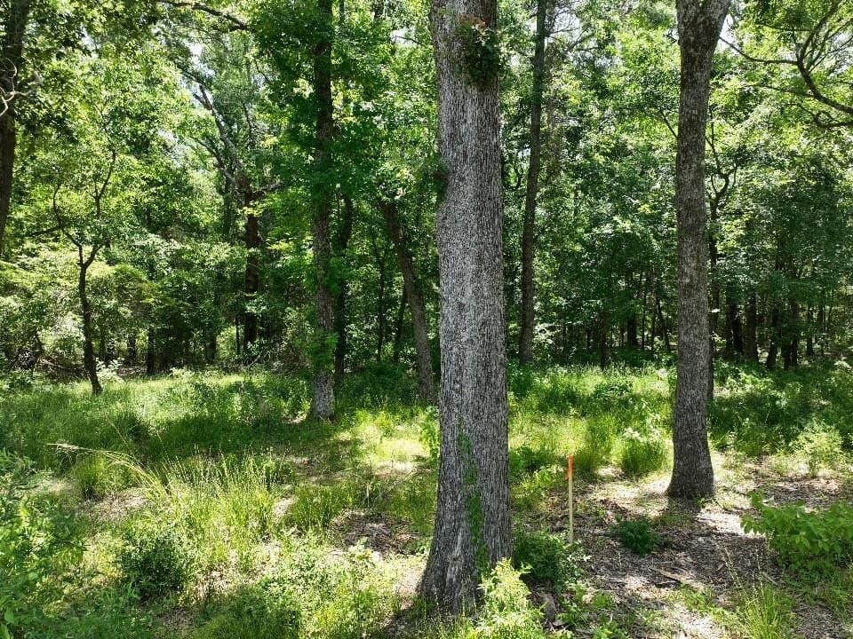 11.15 acres in Van Zandt County - photo 5