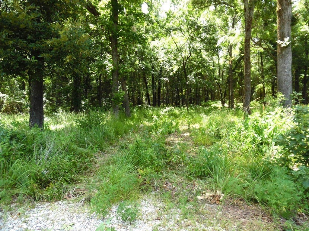 11.15 acres in Van Zandt County - photo 11