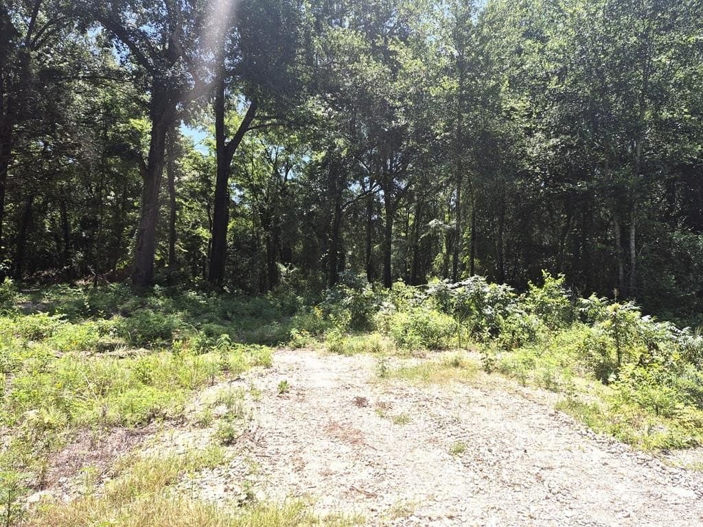 11.15 acres in Van Zandt County
