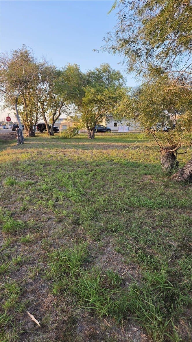 0.69 acres in Bee County - photo 3