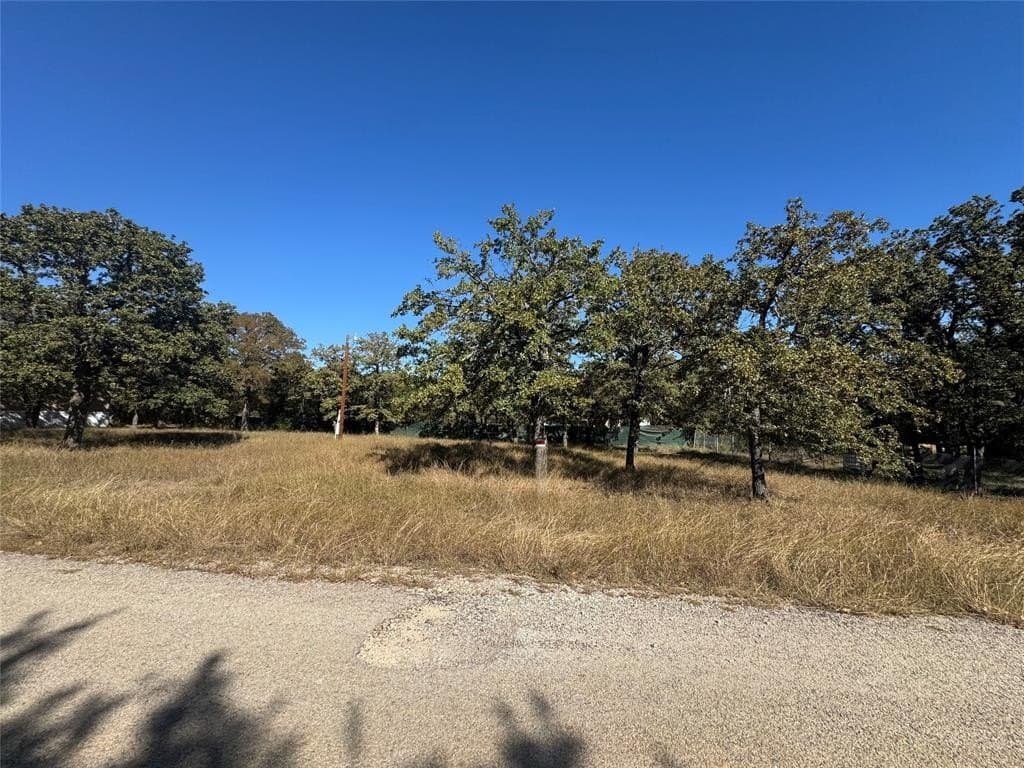 0.24 acres in Hood County gallery image 2