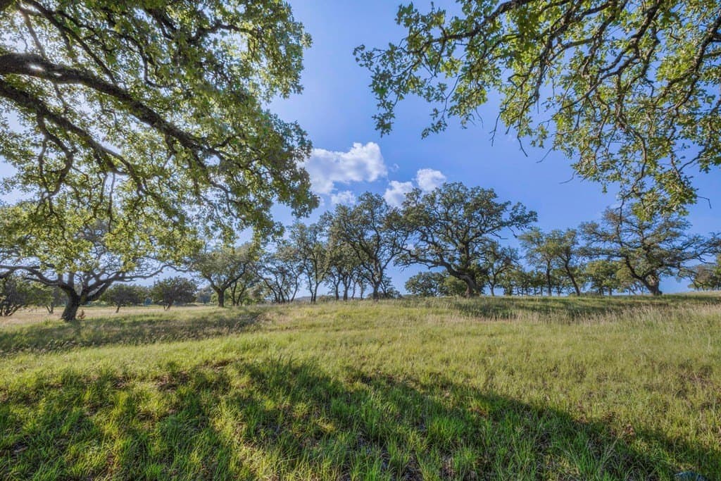 10.01 acres in Gillespie County gallery image 4