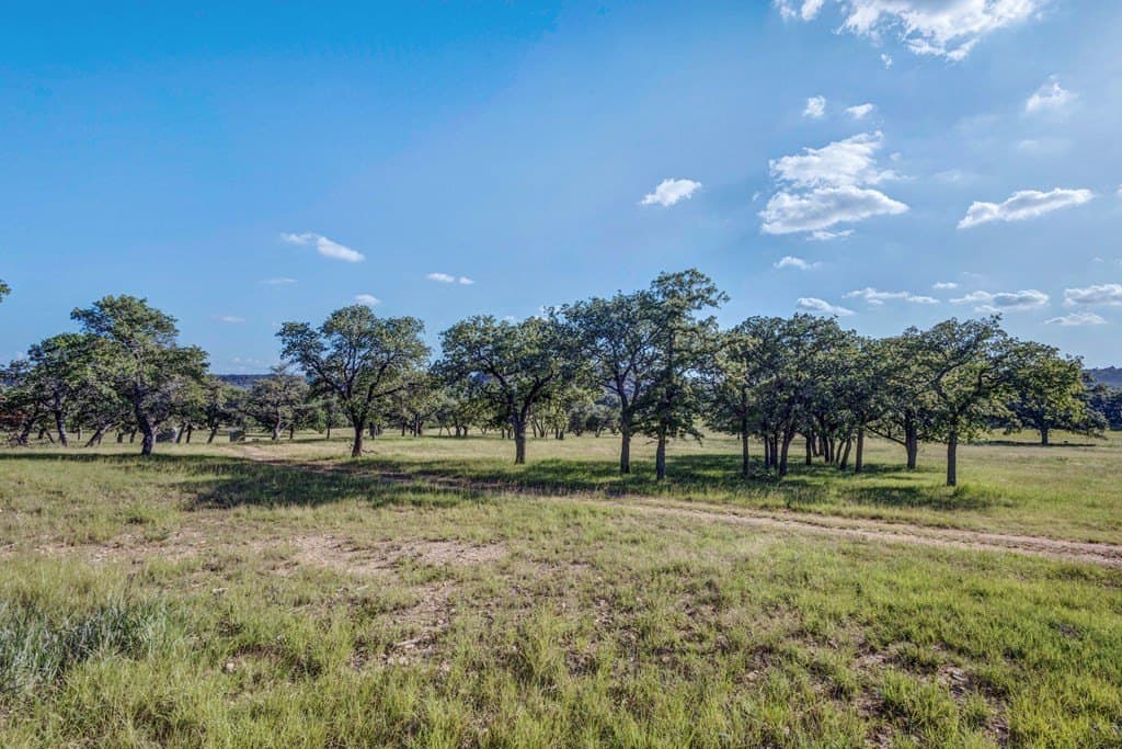 10.01 acres in Gillespie County - photo 9