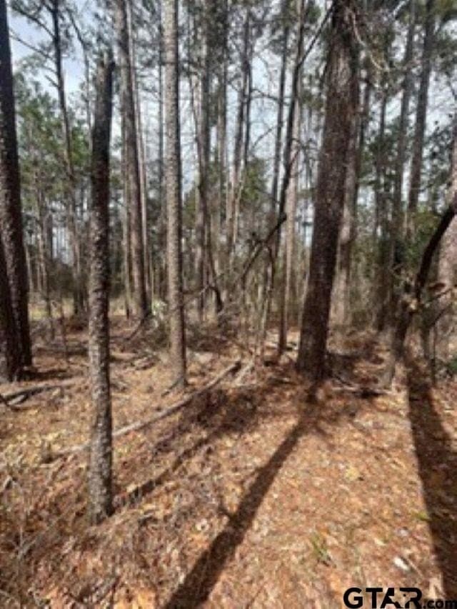 0.27 acres in Smith County gallery image 2