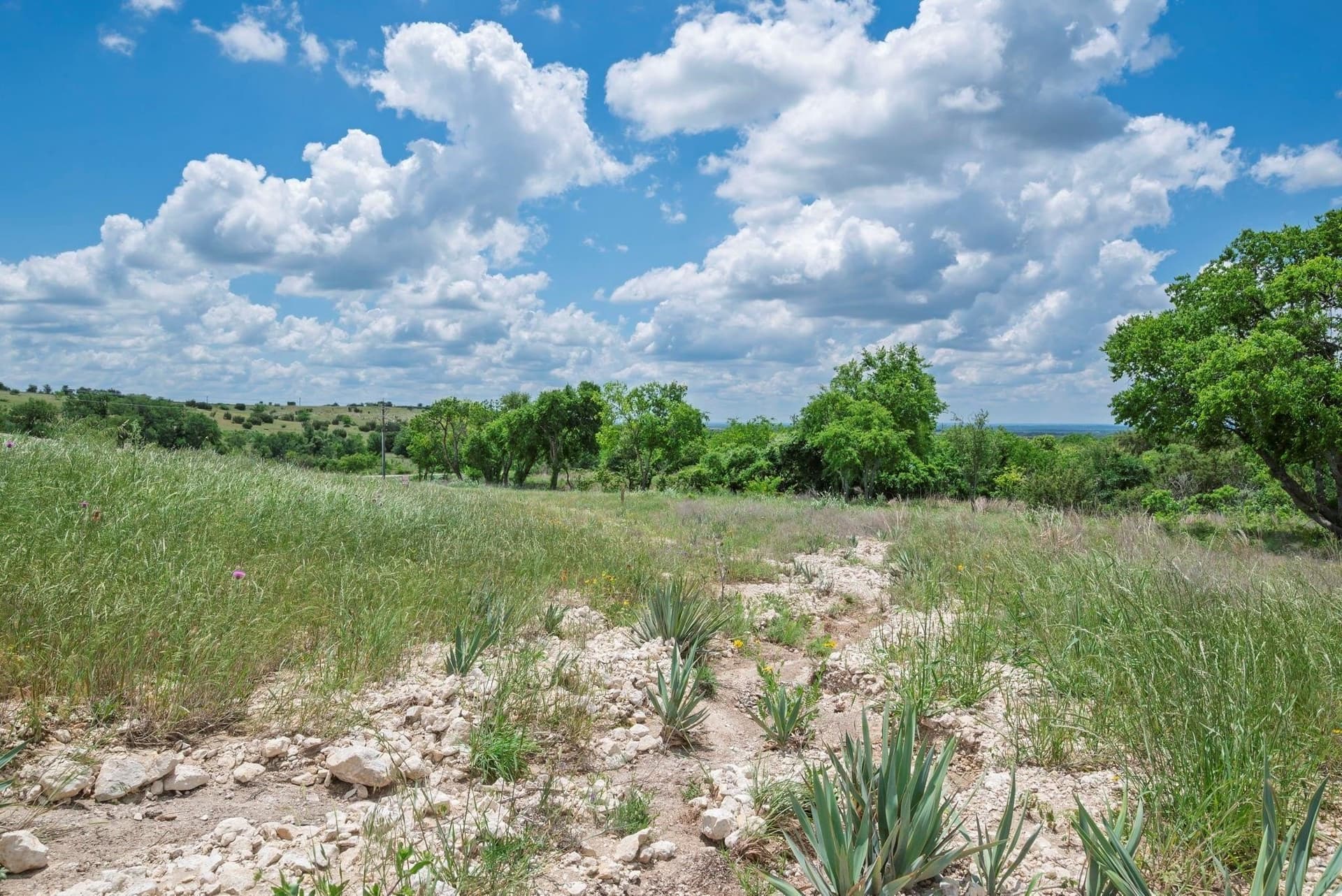 1.74 acres in Hood County - photo 14