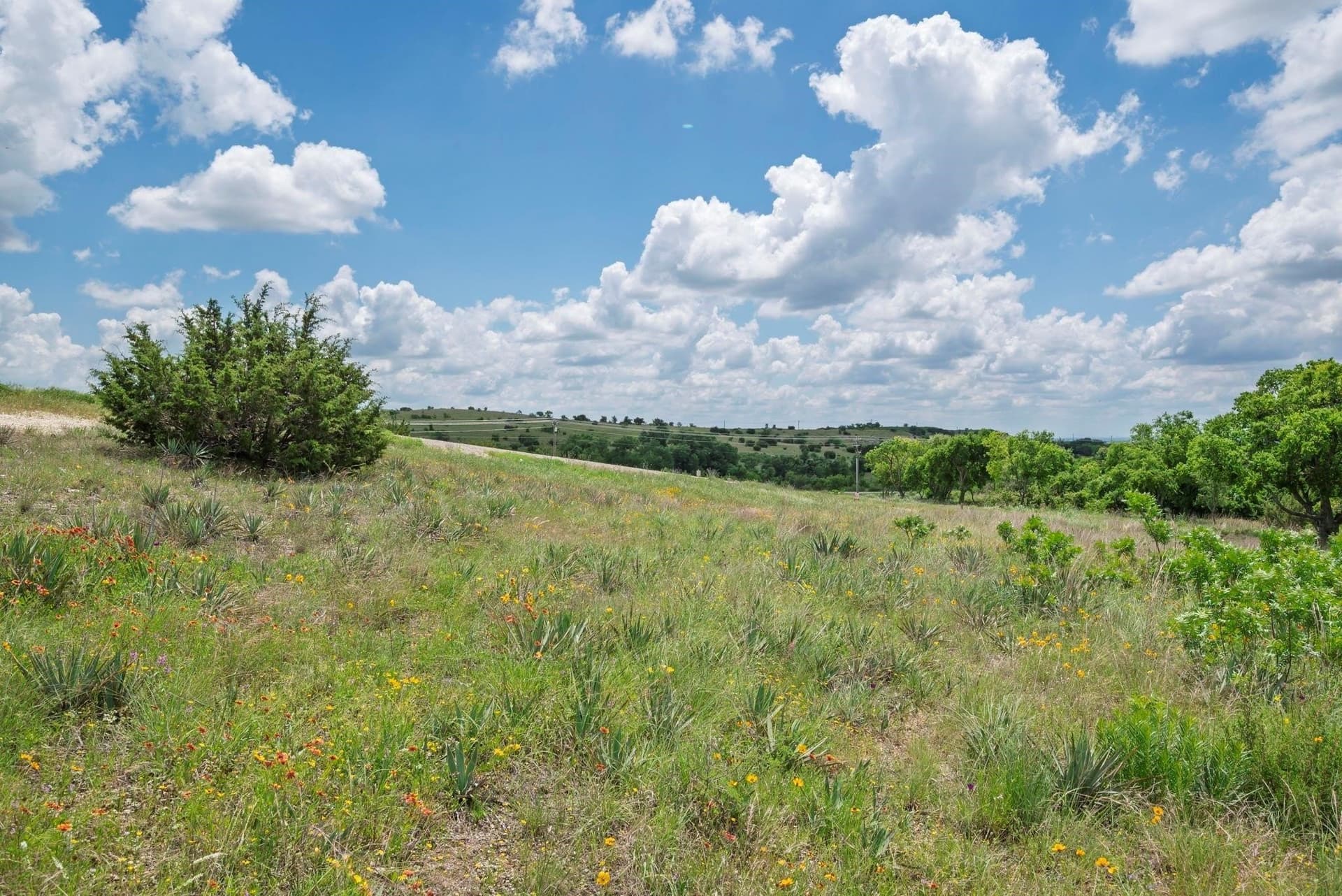 1.74 acres in Hood County - photo 6
