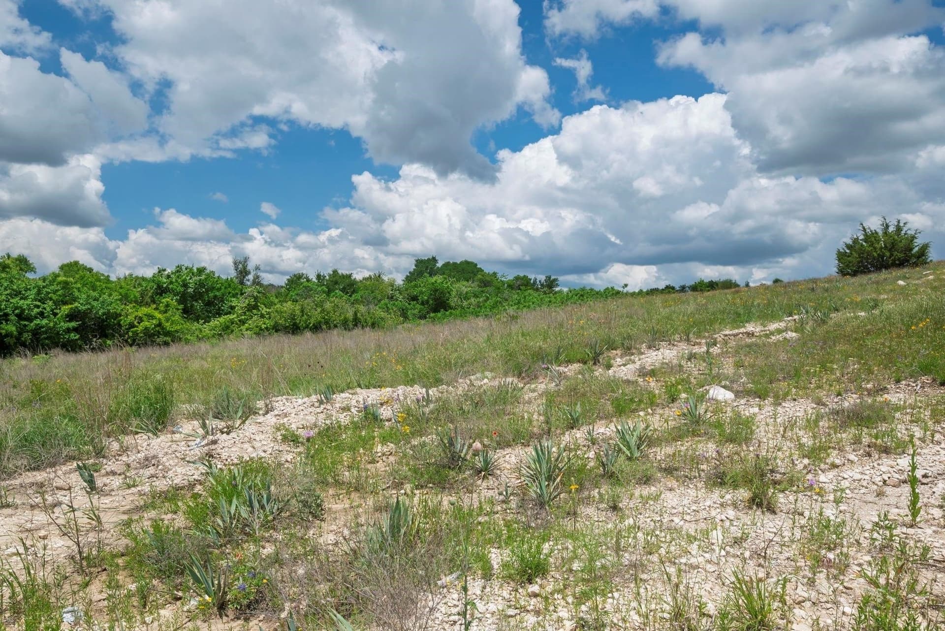 1.74 acres in Hood County - photo 13