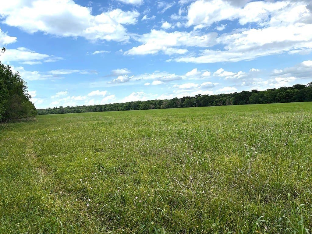 177.84 acres in Austin County - photo 17