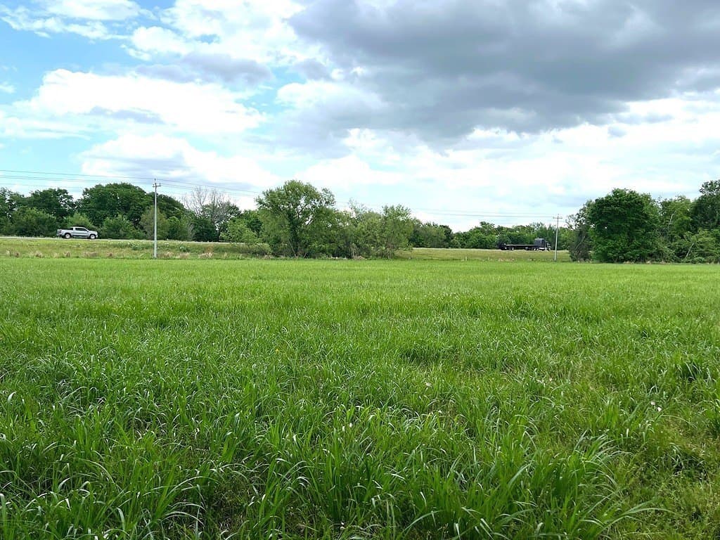 177.84 acres in Austin County - photo 23