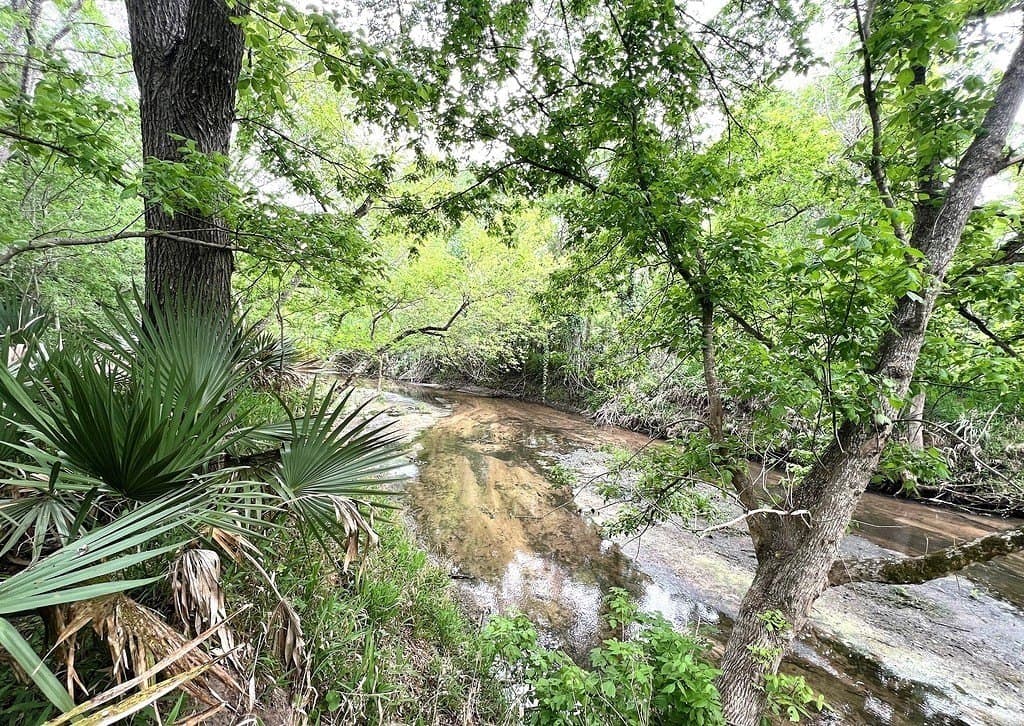 177.84 acres in Austin County - photo 15