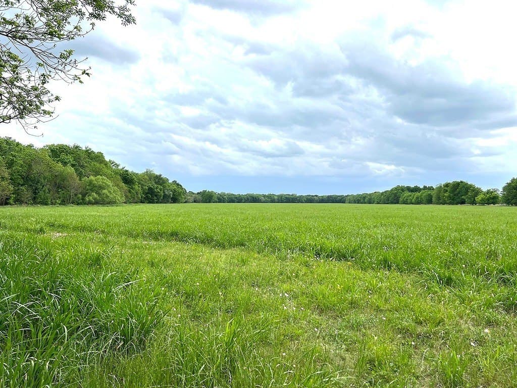 177.84 acres in Austin County - photo 26
