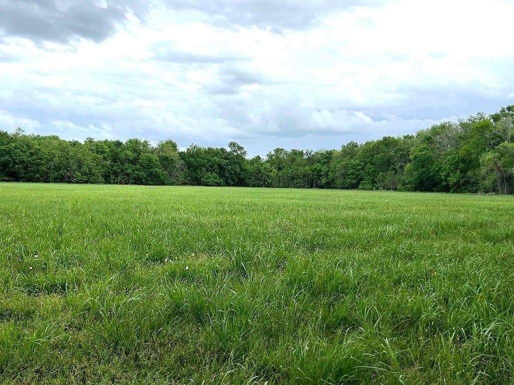 177.84 acres in Austin County - photo 12