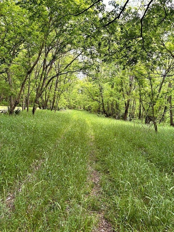 177.84 acres in Austin County - photo 30