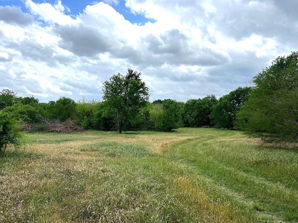 177.84 acres in Austin County - photo 28