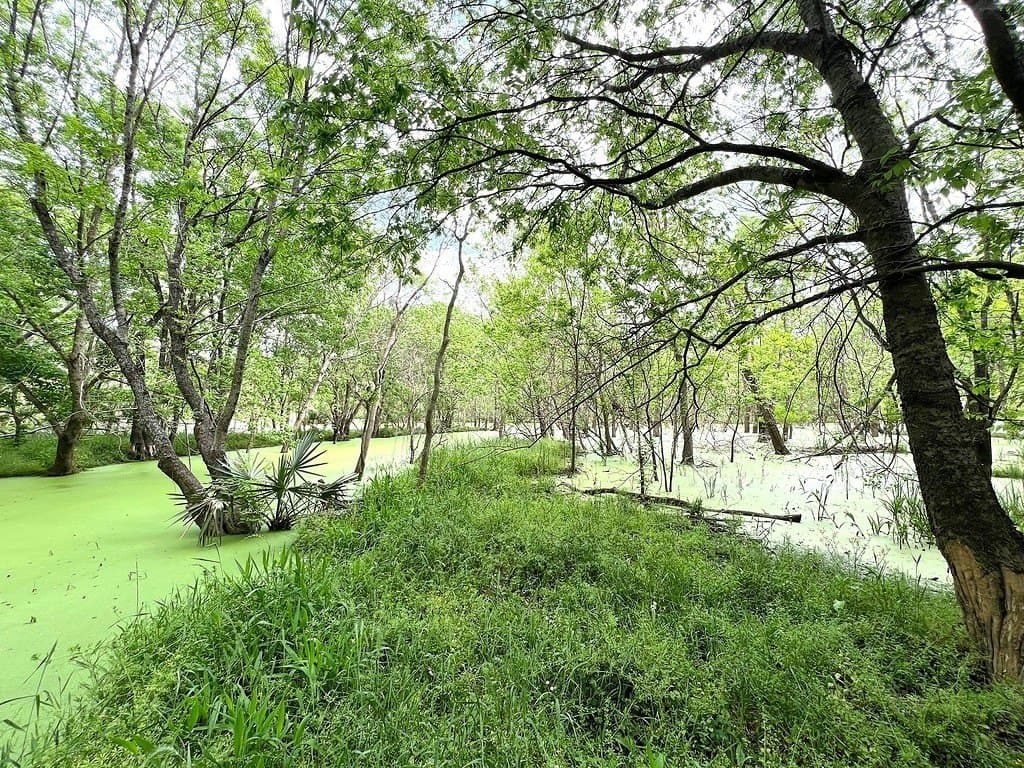 177.84 acres in Austin County - photo 25