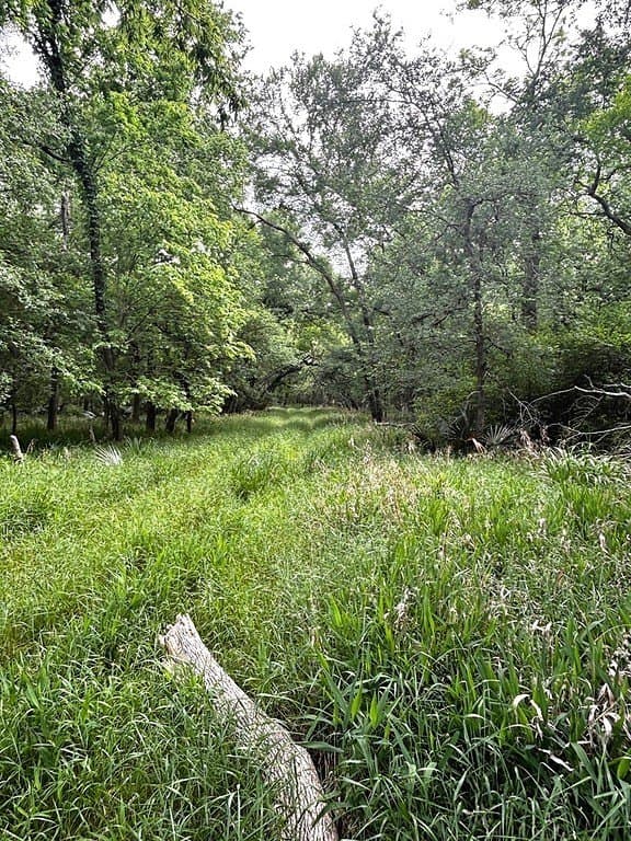 177.84 acres in Austin County - photo 20