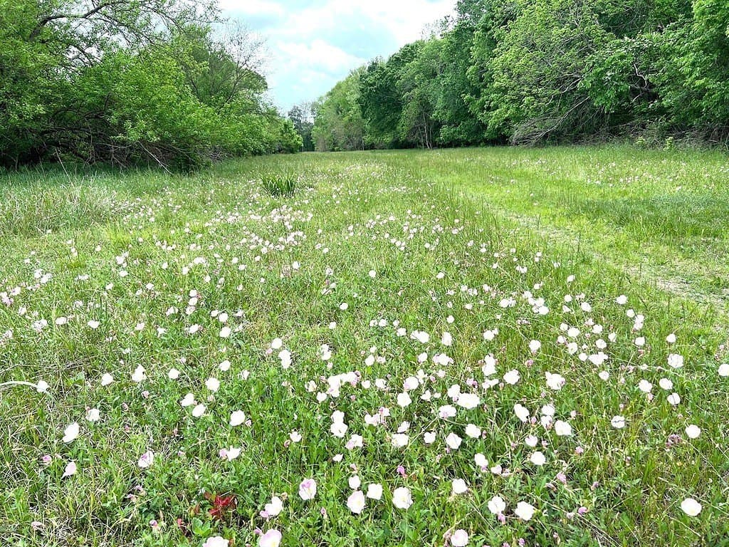 177.84 acres in Austin County - photo 27