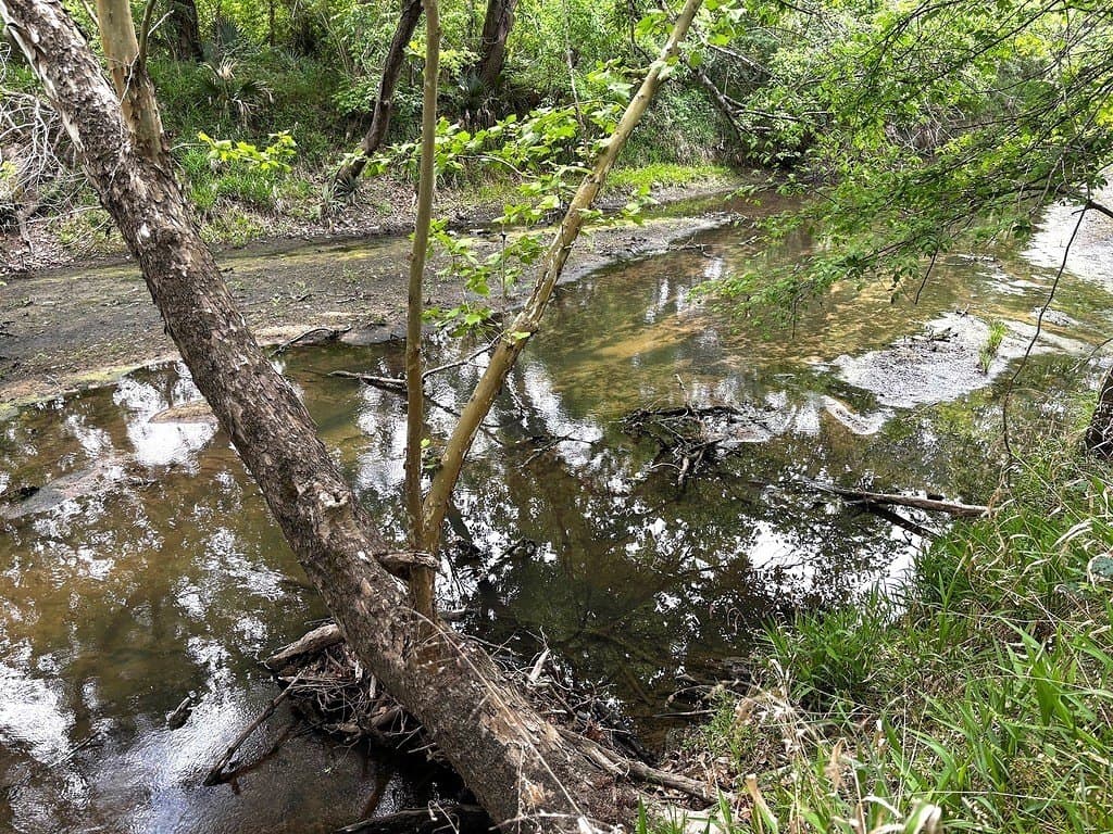 177.84 acres in Austin County - photo 29