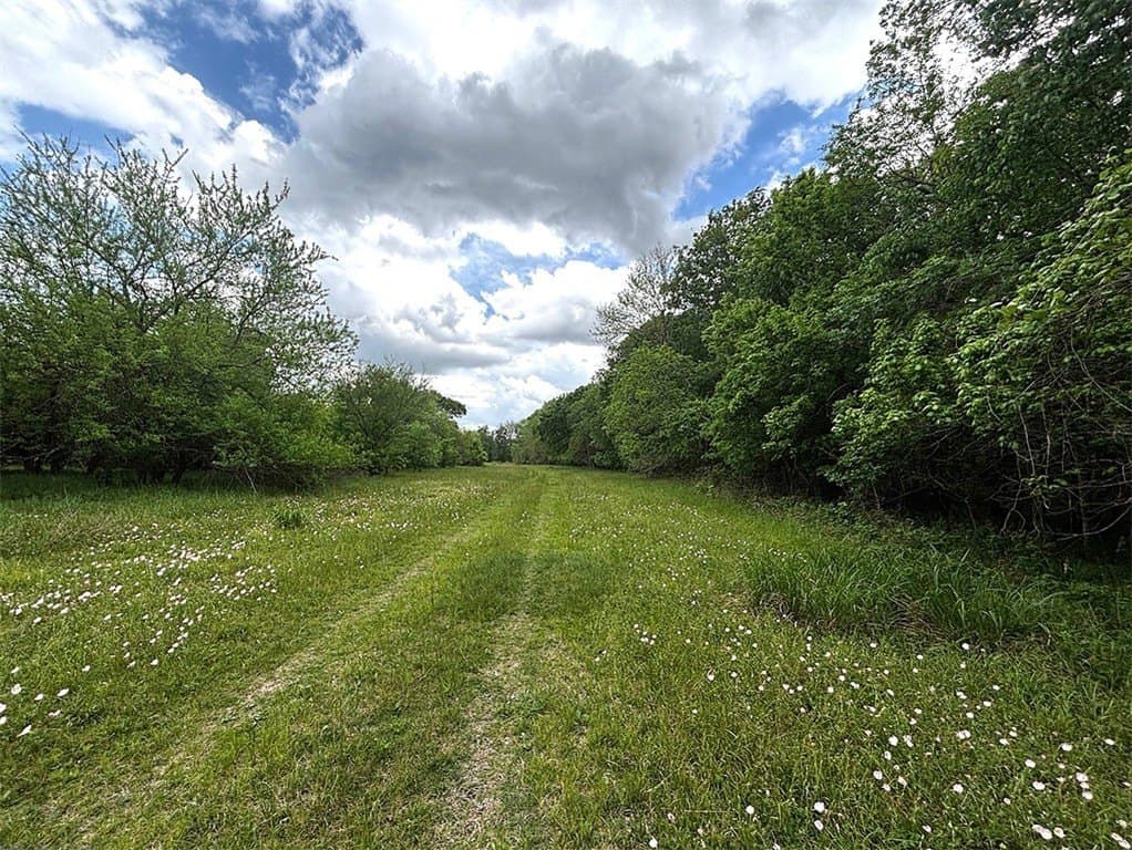 177.84 acres in Austin County - photo 22
