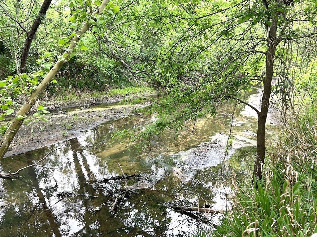 177.84 acres in Austin County - photo 14