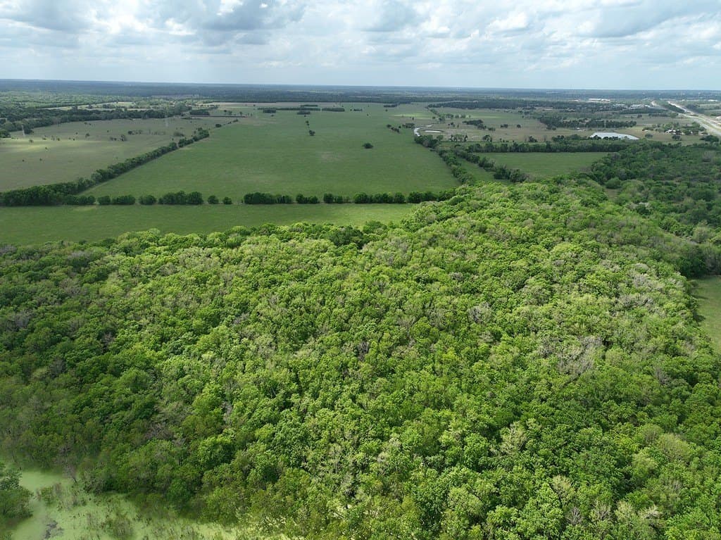 177.84 acres in Austin County - photo 8