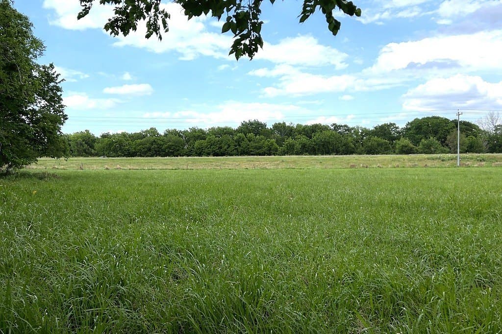 177.84 acres in Austin County - photo 13