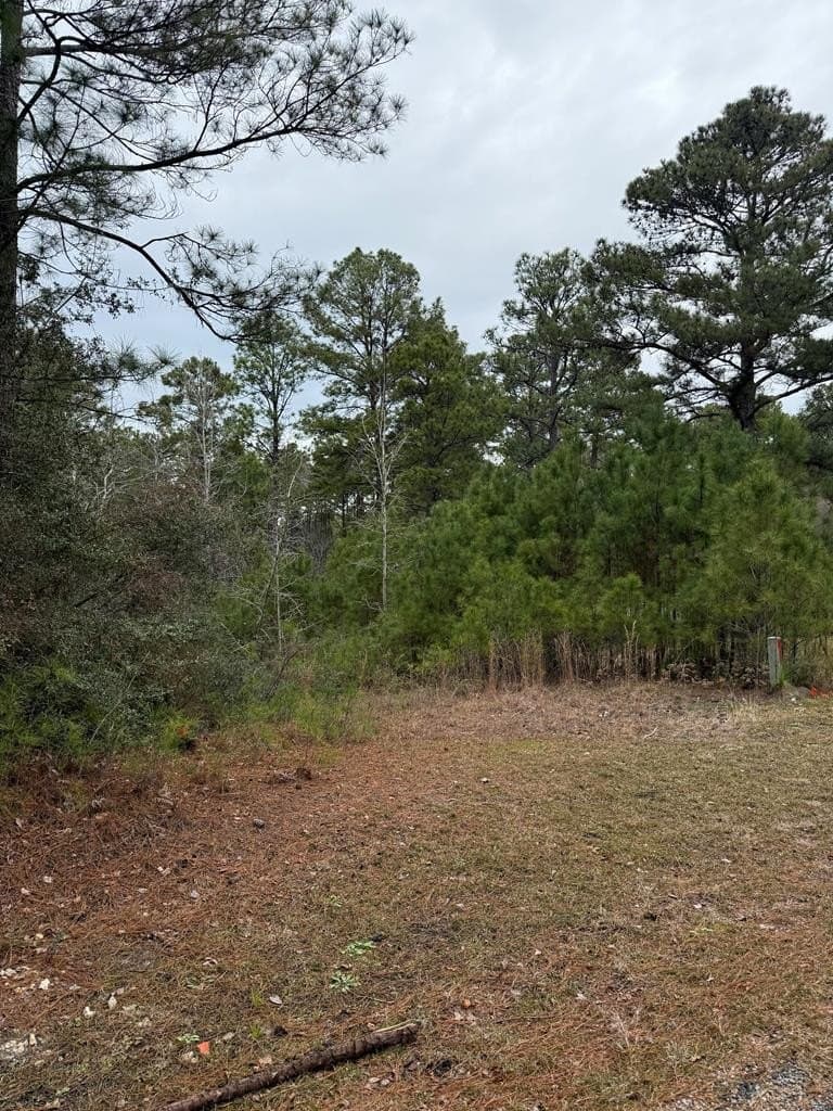 0.28 acres in Texas County gallery image 2