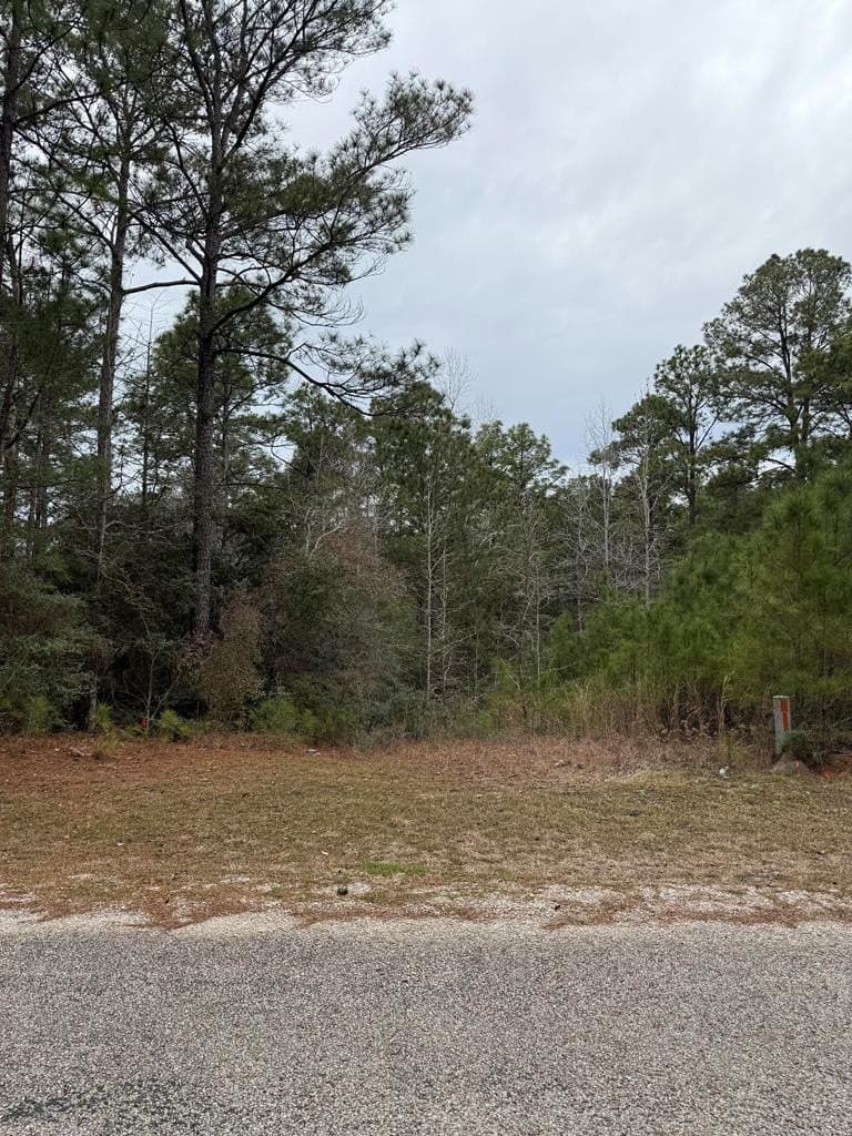 0.28 acres in Texas County gallery image 4