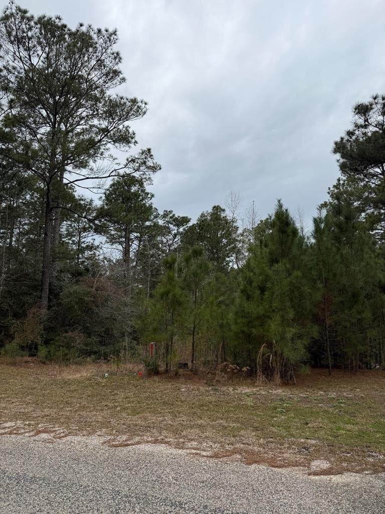 0.28 acres in Texas County gallery image 3