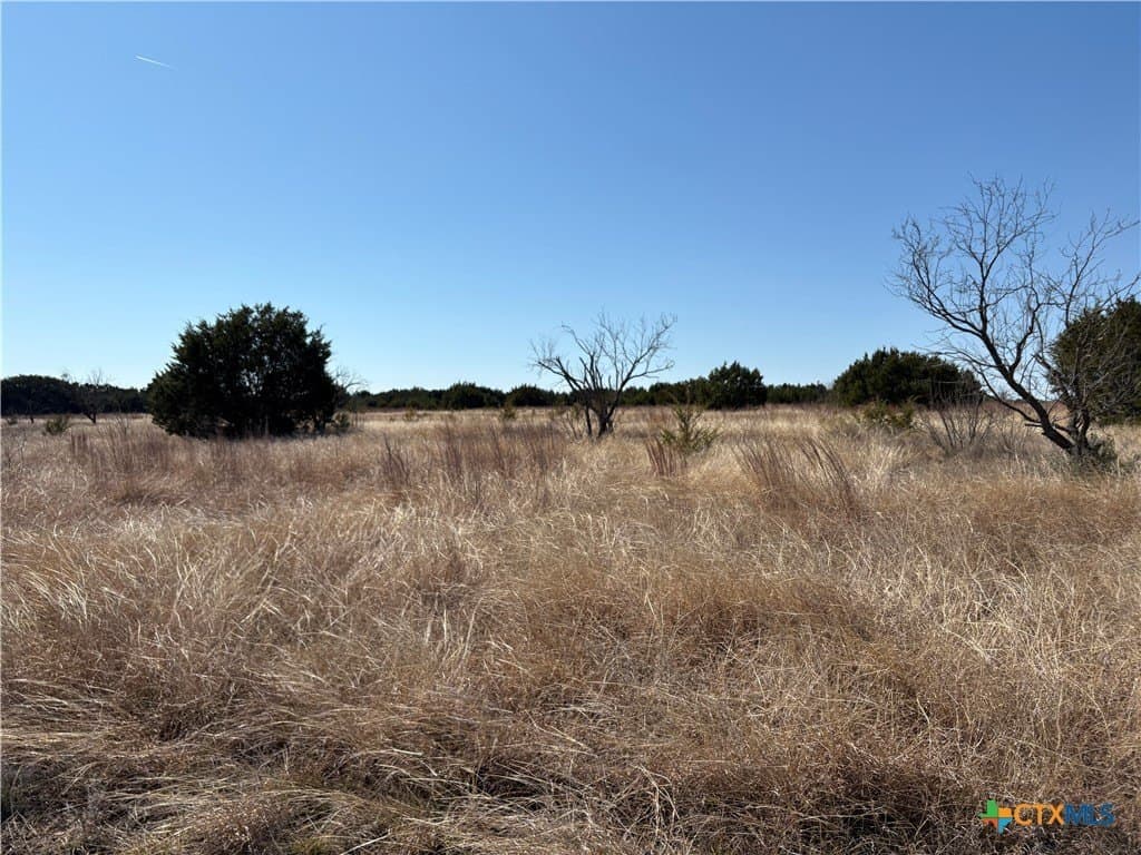 5.5 acres in Burnet County gallery image 2