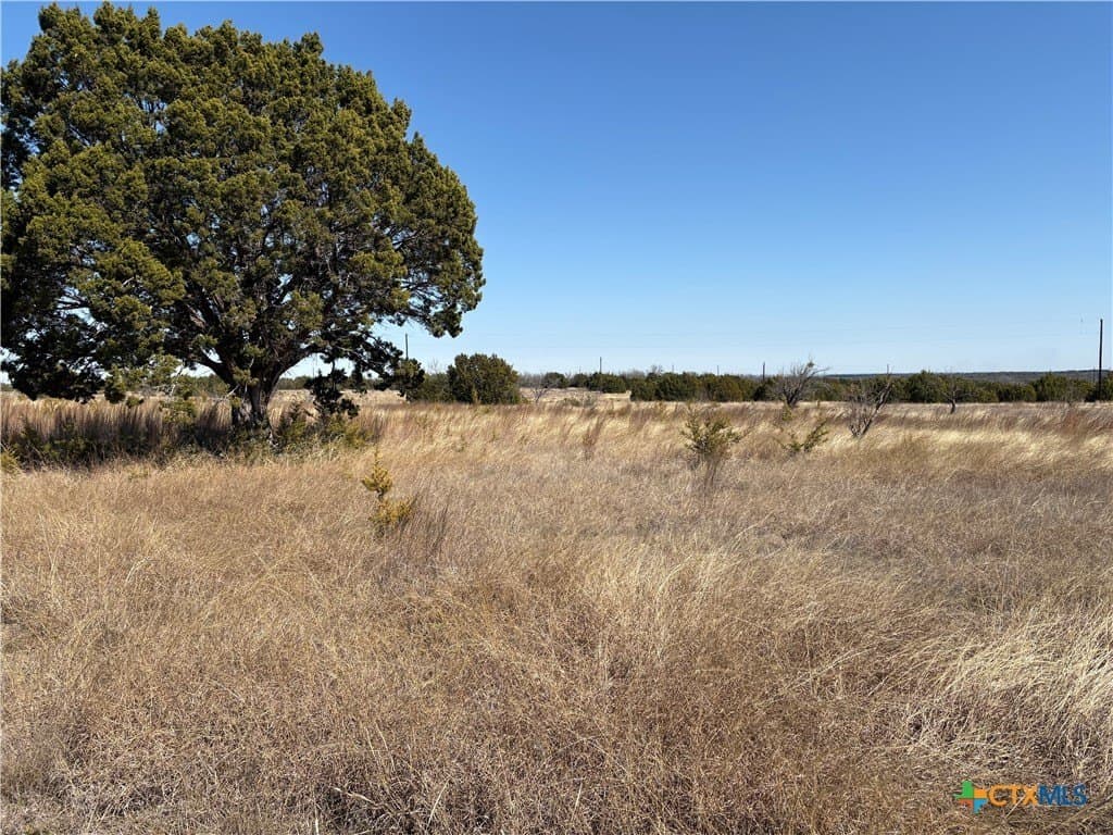 5.5 acres in Burnet County gallery image 4
