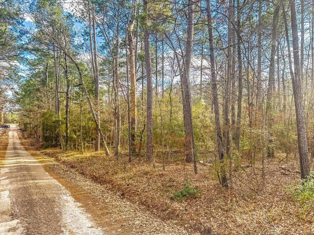 0.32 acres in Texas County