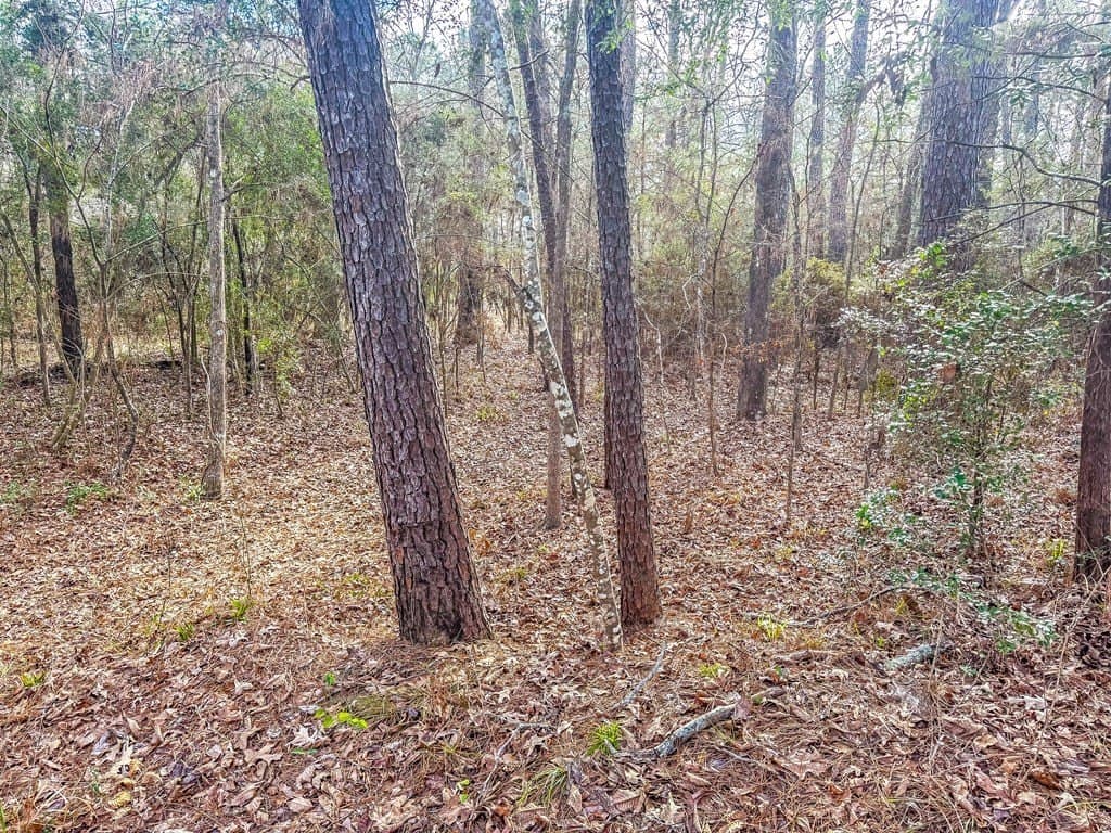 0.32 acres in Texas County gallery image 3