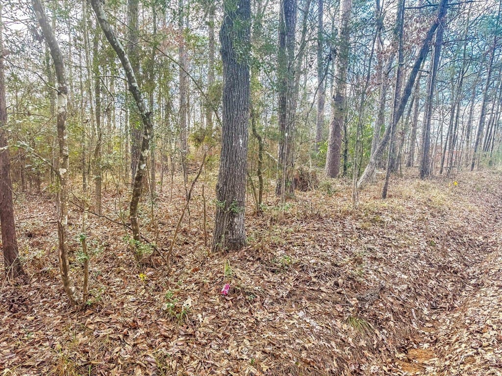 0.32 acres in Texas County gallery image 2