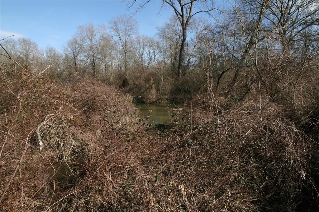 17.14 acres in Van Zandt County gallery image 3