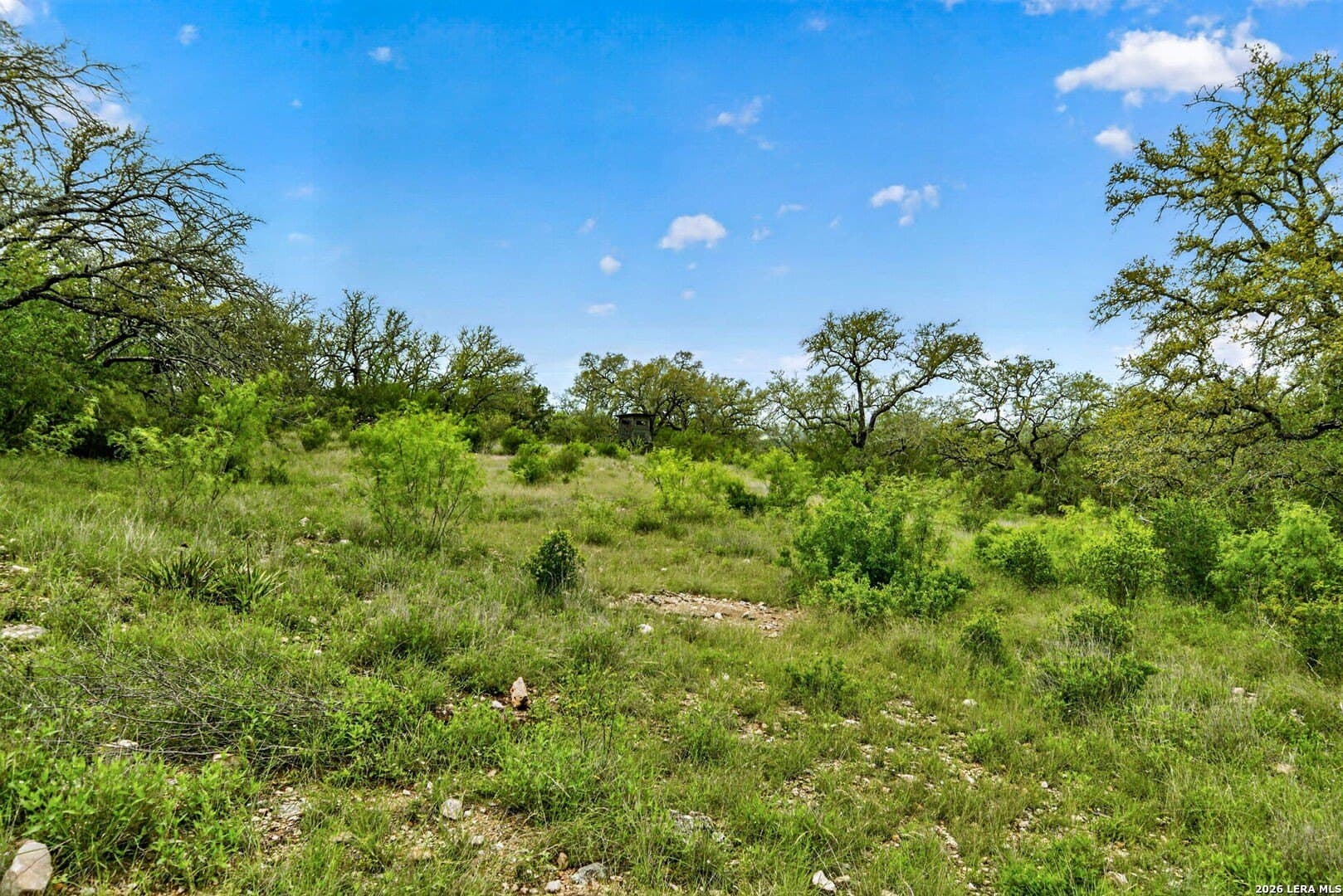 221.33 acres in Medina County gallery image 2