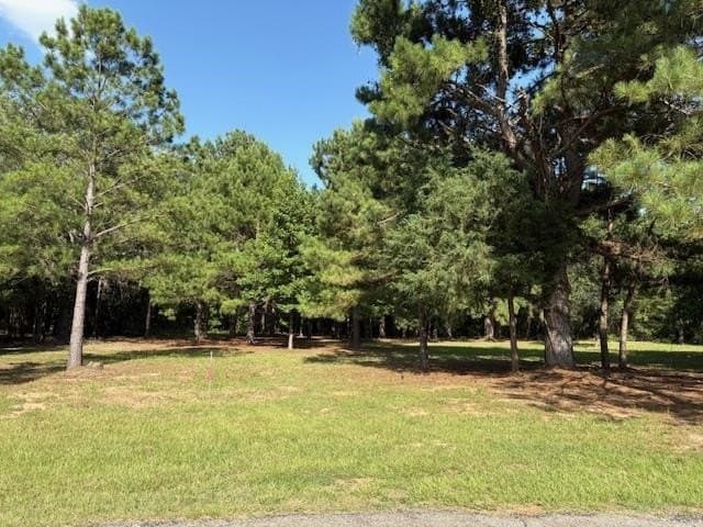 0.45 acres in Wood County gallery image 2
