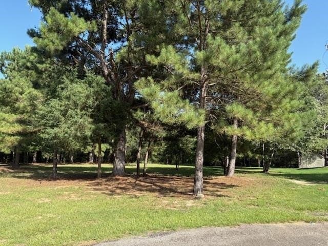 0.45 acres in Wood County gallery image 3