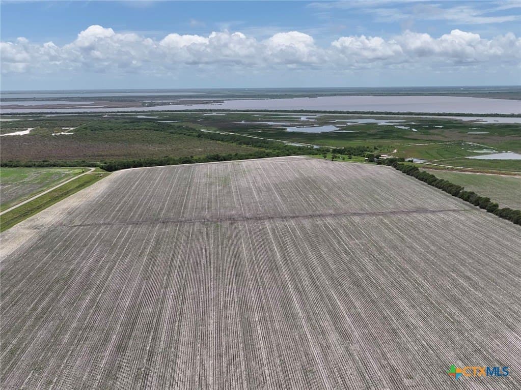 226.91 acres in Calhoun County - photo 14
