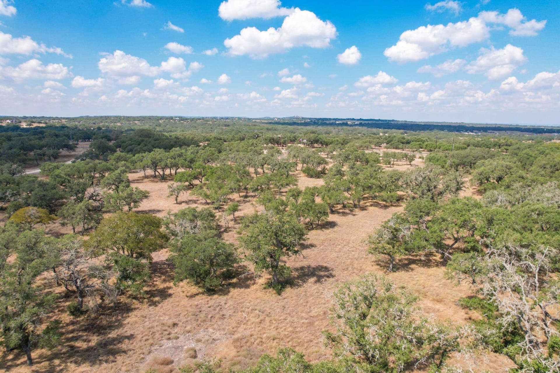 3 acres in Blanco County - photo 8