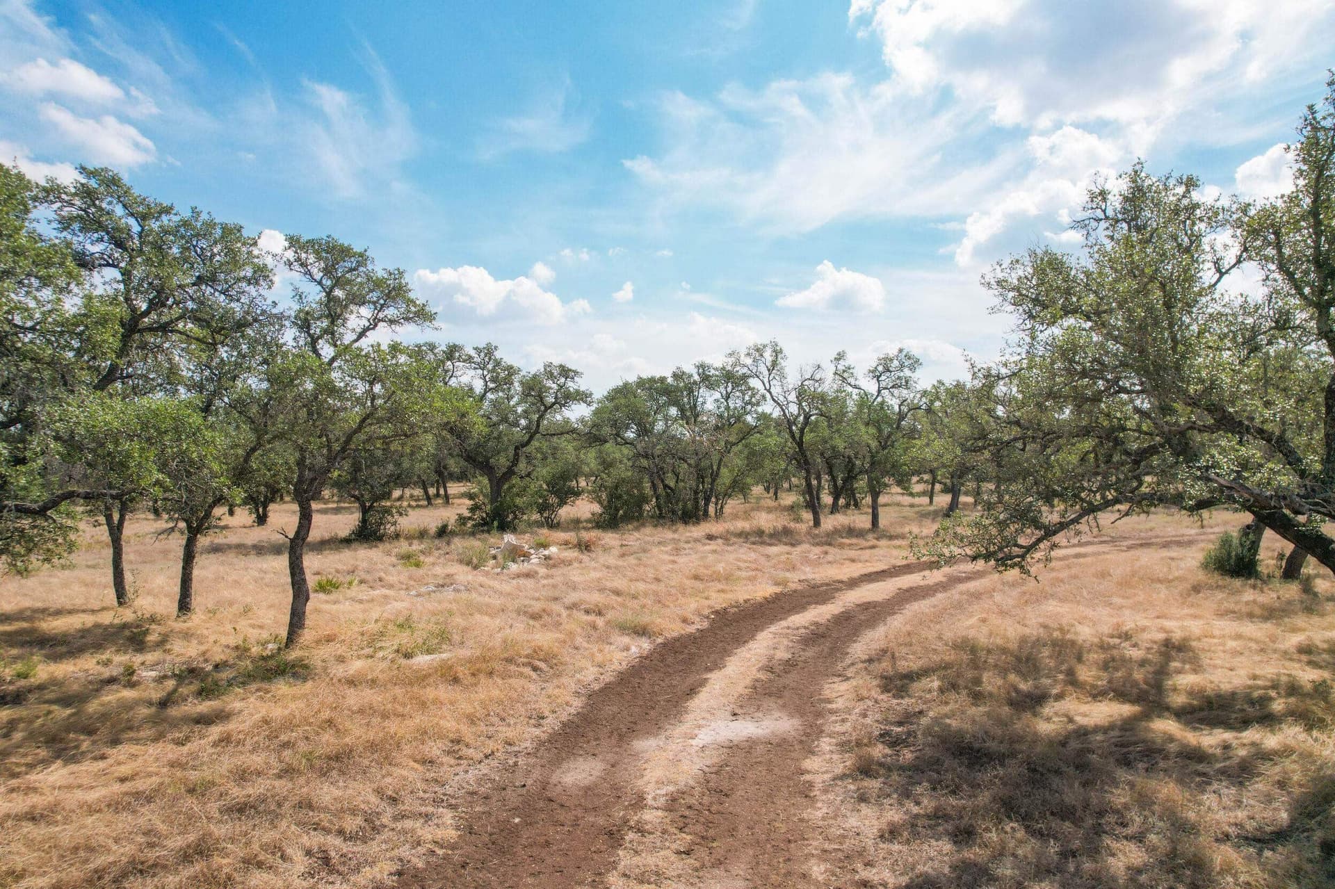 3 acres in Blanco County - photo 6